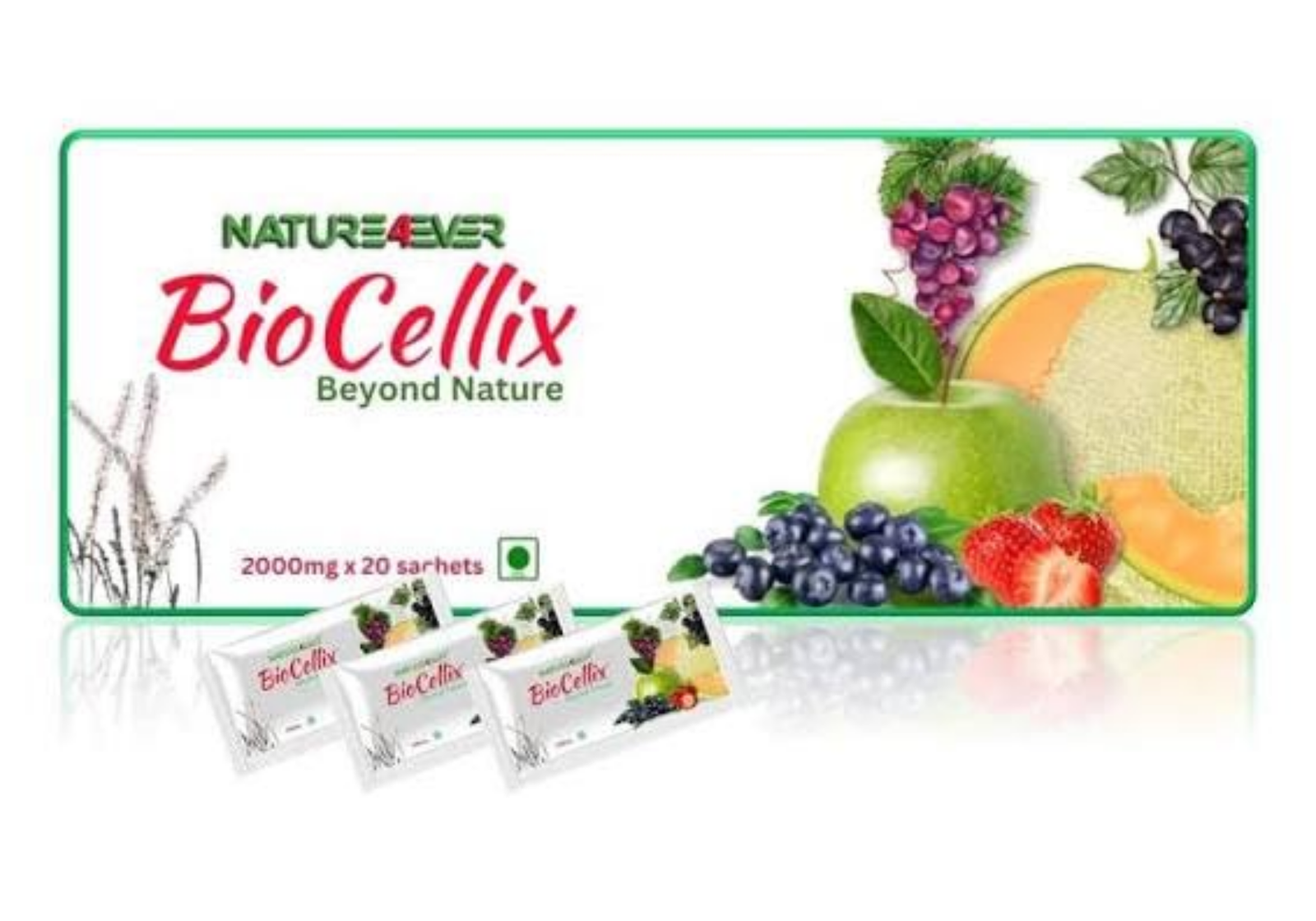 BioCellix Stem Cell Therapy
