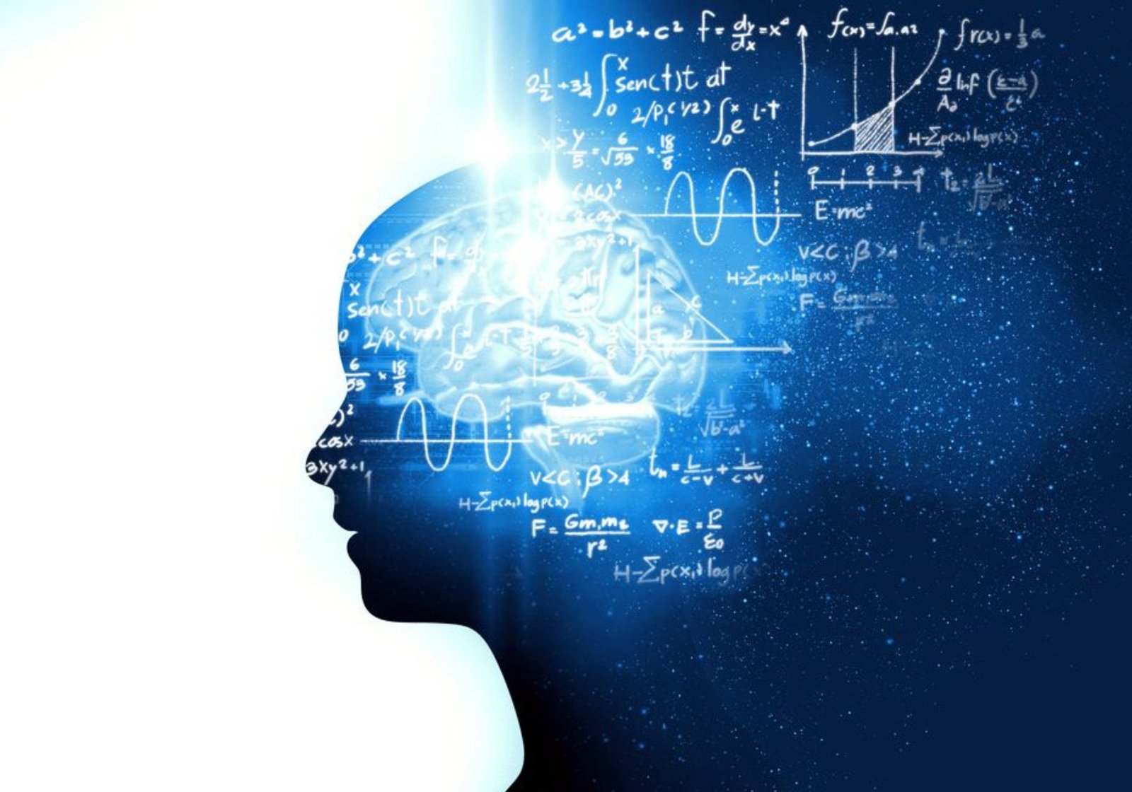 DMIT - Career Counselling